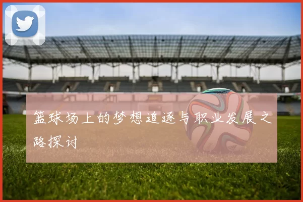 篮球场上的梦想追逐与职业发展之路探讨
