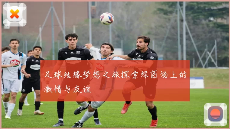 足球结缘梦想之旅探索绿茵场上的激情与友谊