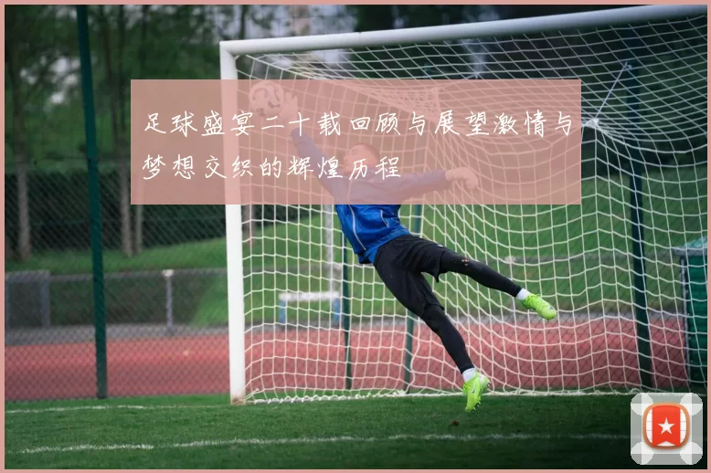 足球盛宴二十载回顾与展望激情与梦想交织的辉煌历程