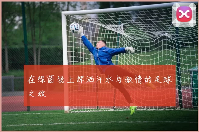 在绿茵场上挥洒汗水与激情的足球之旅