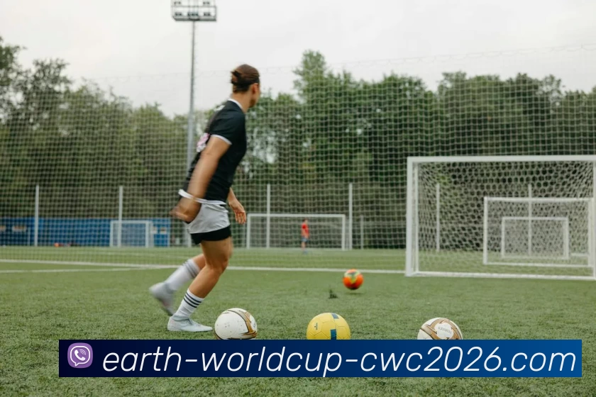 买球站服务体系